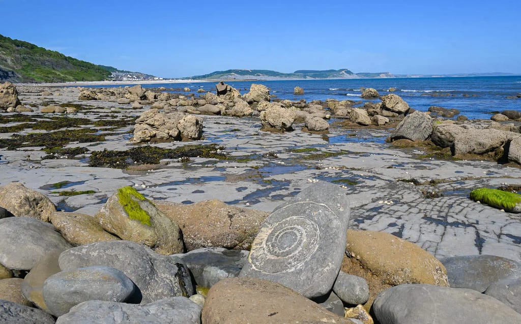 Fossil Hunt at Lyme Regis