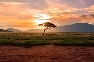 African Countries Offering Digital Nomad Visas in 2023
