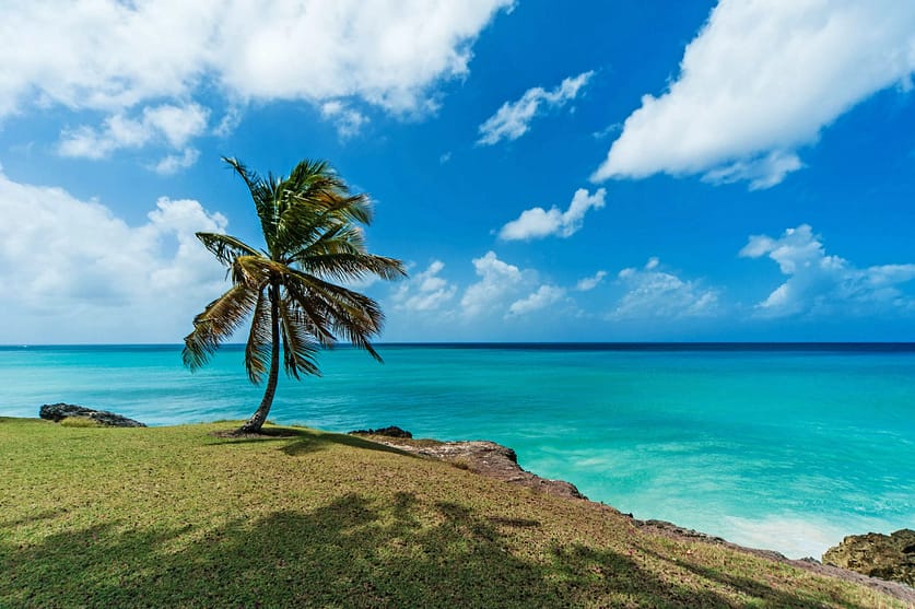 Countries Offering Digital Nomad Visa in 2023
