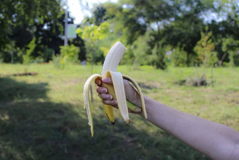STOP Throwing Banana Peel On Hike Trail
