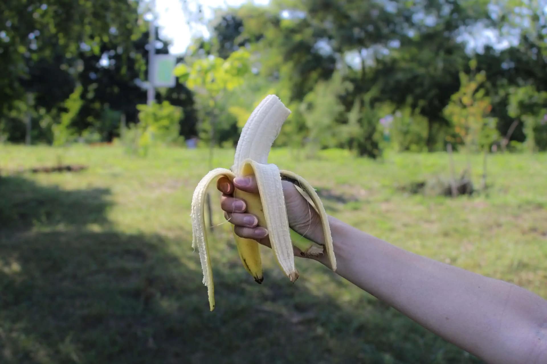 STOP Throwing Banana Peel On Hike Trail TRAVEL WITH VEE